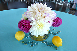 KASSAPALOOZA FEATURING HIT EXPLOSION